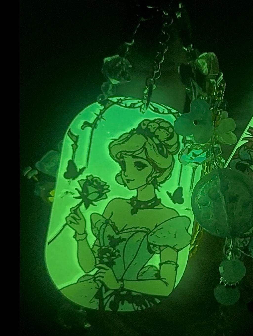 Cinderella’s Wish
